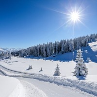Winterwanderweg (c) Bergbahnen Grüsch-Danusa AG  