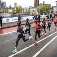 Frankfurt Marathon, Ziel