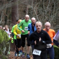 Pfälzer Berglauf-Pokal