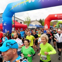 Spreewald-Marathon 2020