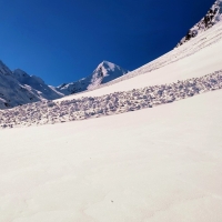 Essener Spitze Skitour 07: Doch zahlreiche Schneebretter nördlich deuten bereits früh darauf hin, dass der nordseitige Aufstieg nicht empfehlenswert ist.
