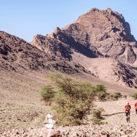 Sahara Trail Zagora, Foto: Veranstalter