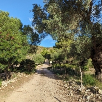 Llevant Naturpark 02: Die Rundtour startet mit dem Weg 10 zum Puig del Migdia