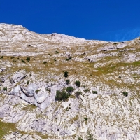Hochplatte 04: Blick von unten auf den Gipfel.