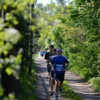 Läufer beim Gommeraner Seenlauf