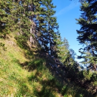 Frieder-Kreuzspitze Überschreitung 09: Nun folgt ein langer, steiler Waldaufstieg