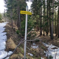 Krummbachstein 32: Der restliche Teil retour führt durch den Lackabodengraben