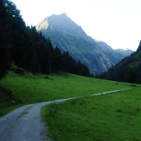 Bis kurz vor die Gollinghütte führt ein Forstweg.