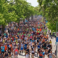 Ergebnisse Venloop 2025