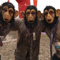 CrossDeLuxe Markkleeberg