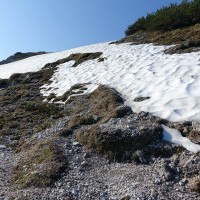 Kleiner Buchstein 14 - die Altschneefelder sind eine kleine Zusatzherausforderung