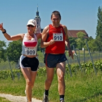 Uhldinger Pfahlbau-Halbmarathon (C) Veranstalter  / Bernhard Waurick