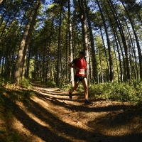Tartufo Trail Running 2023, Foto: © Ferrari Foto