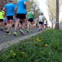 Vienna City Marathon 91 1524387352