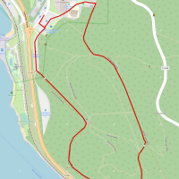 Laufstrecke Schluchsee Triathlon