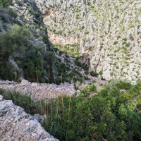 Torrent de Pareis 19: Blick zurück in den Canyon.