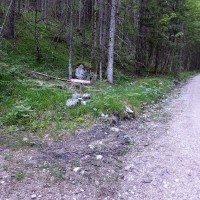 Kleiner Buchstein - nach einem kurzem Abschnitt auf dem Forstweg führt der markierte Weg in den Wald