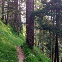 Hundshorn 22: Der Abstiegsweg ist deutlich angenehmer als der Aufstiegsweg.