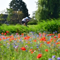 Die Radstrecke beim IRONMAN 70.3 Westfriesland 2025
