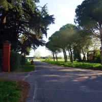 Maratona del Lamone 2023, Foto 14