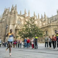 Sevilla Marathon 2023
