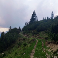 Wanderung Itonskopf 16: Abstieg nun zunächst auf einem Wanderweg, dann auf einem Forstweg zum Gasthof Rellseck