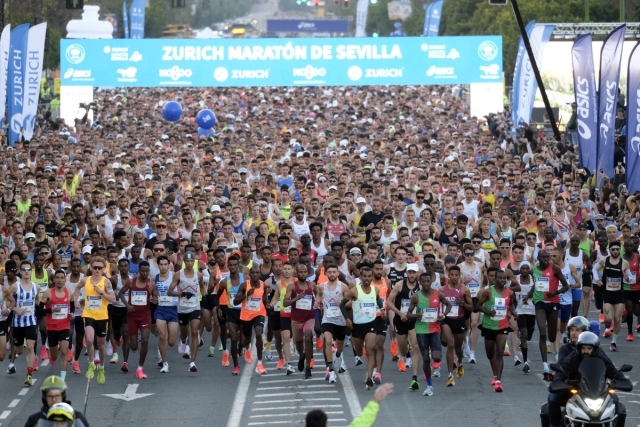 Maraton de Sevilla / Sevilla-Marathon