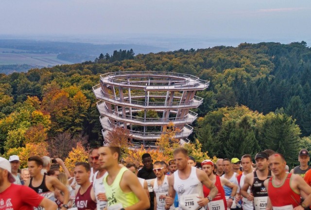 Panorama-Baumwipfel-Lauf Oberschwarzach