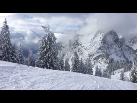 Ski Mythenregion mit Pulverschnee und dem Flossen Team