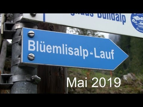 Mai 2019 Blüemlisalplauf Berner Oberland Schweiz